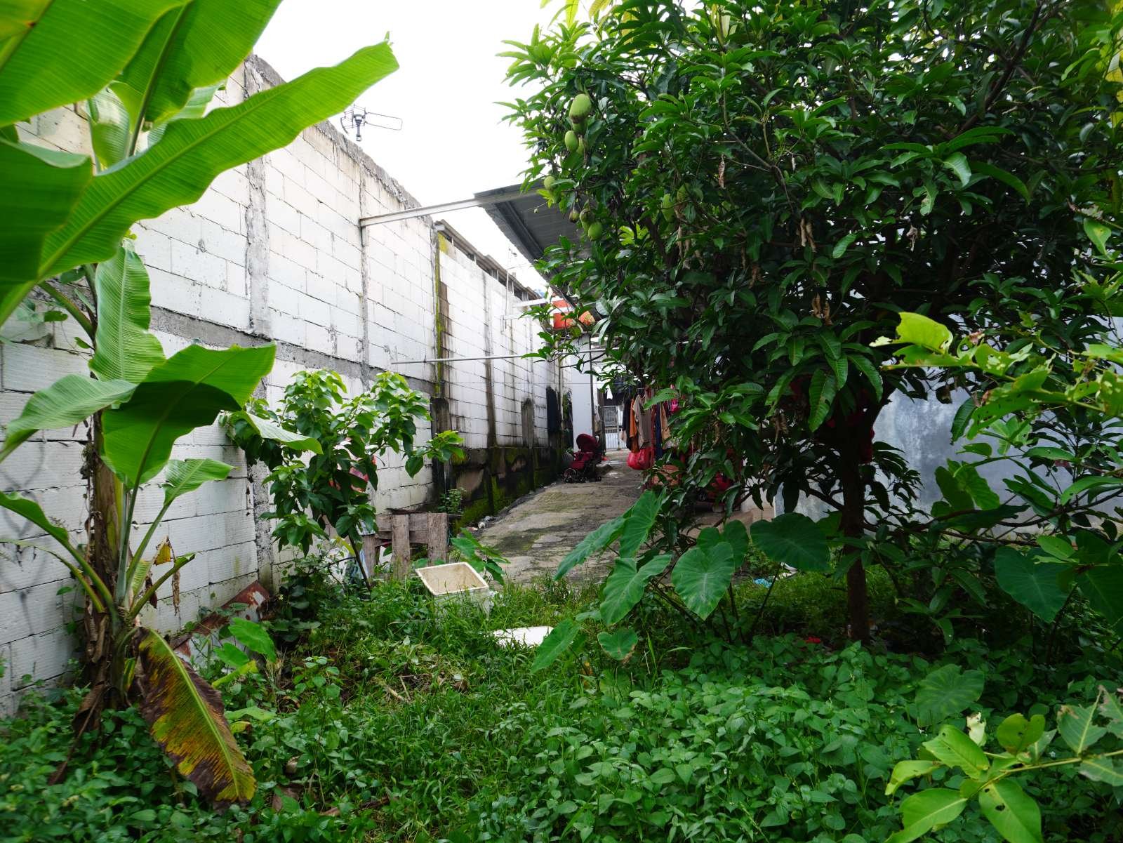 Foto Utama