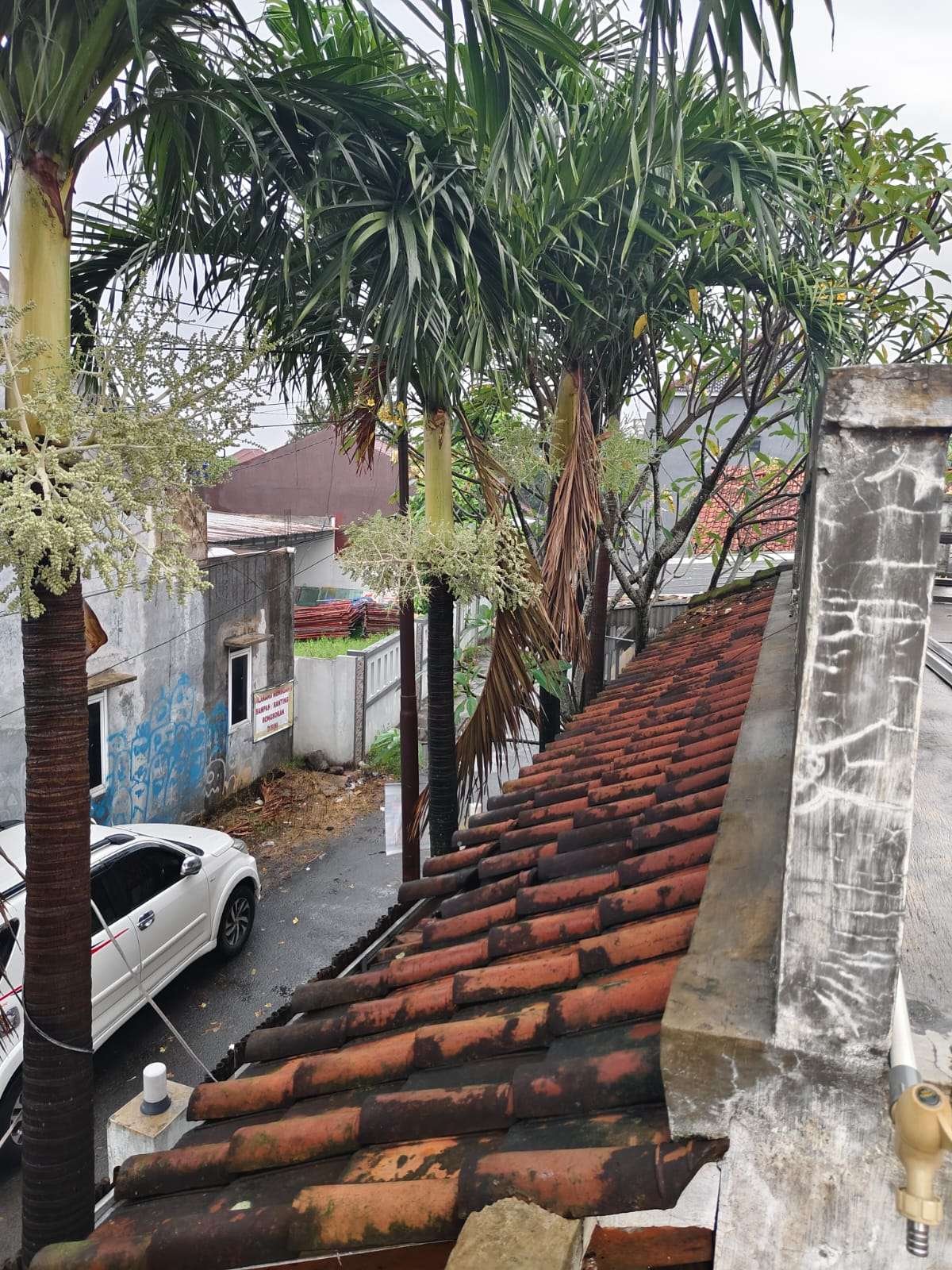Foto Utama