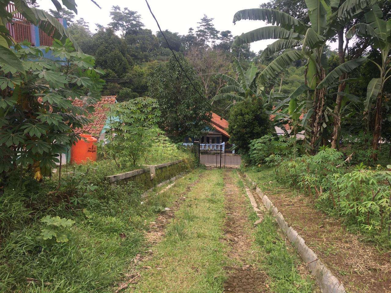 Foto Utama