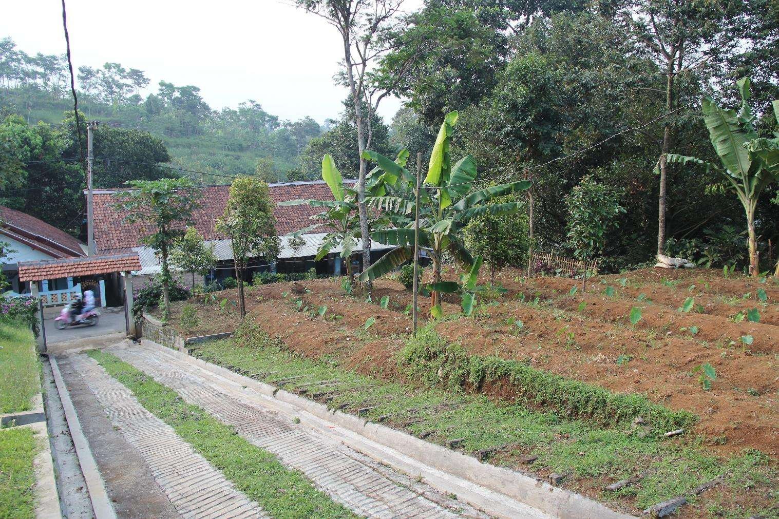 Foto Utama