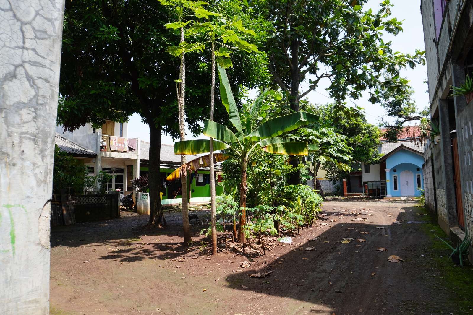 Foto Utama