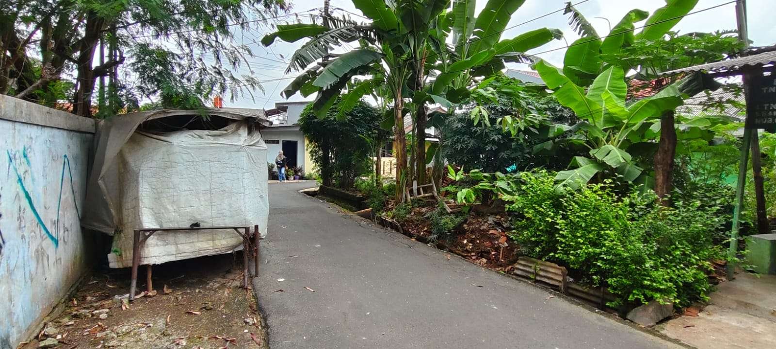 Foto Utama