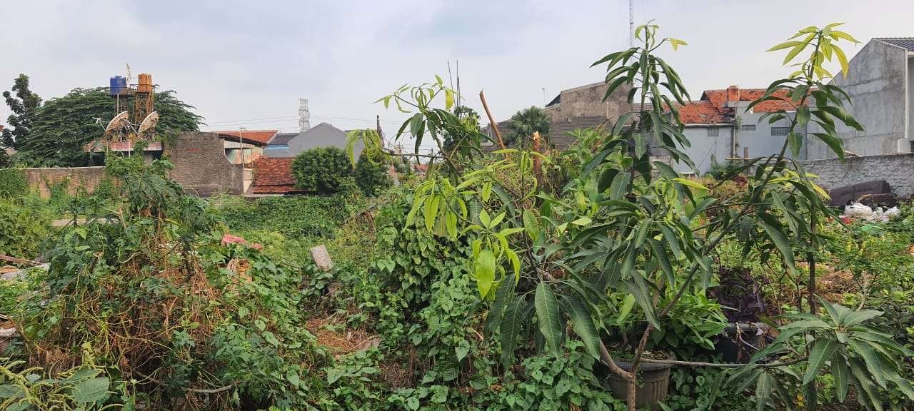 Foto Utama
