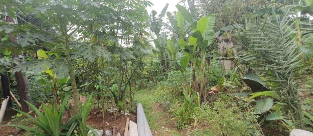 Tanah Kavling Di Komplek Perdagangan Cibinong
