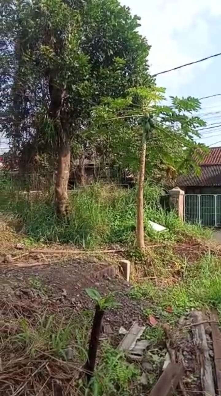 Foto Utama
