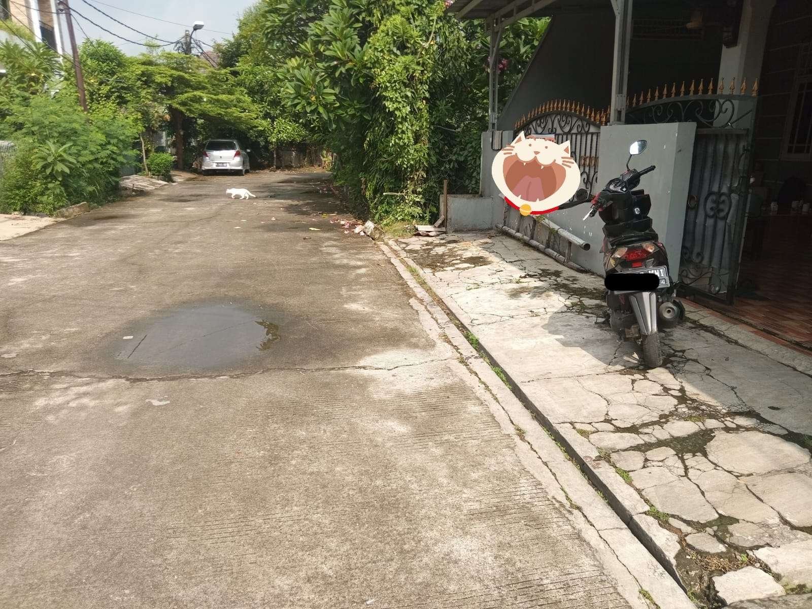 Foto Utama