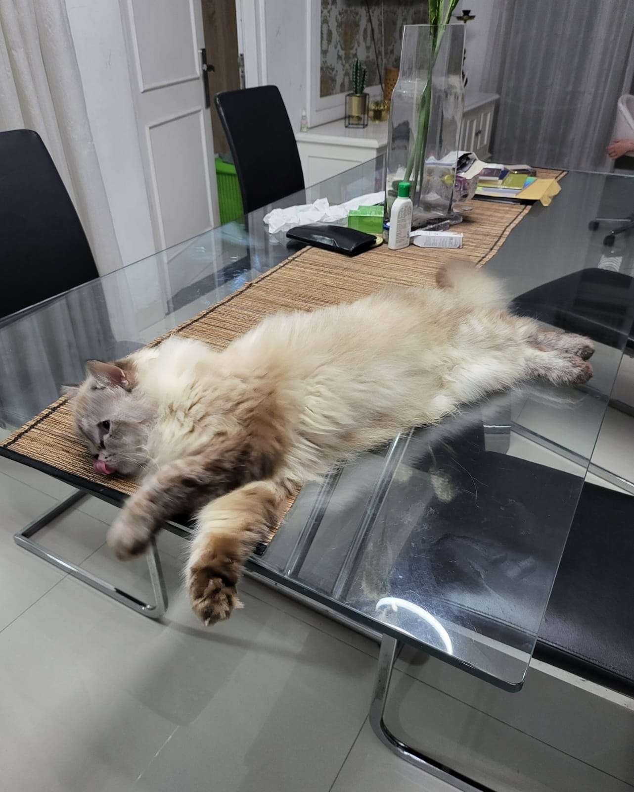 Foto Utama