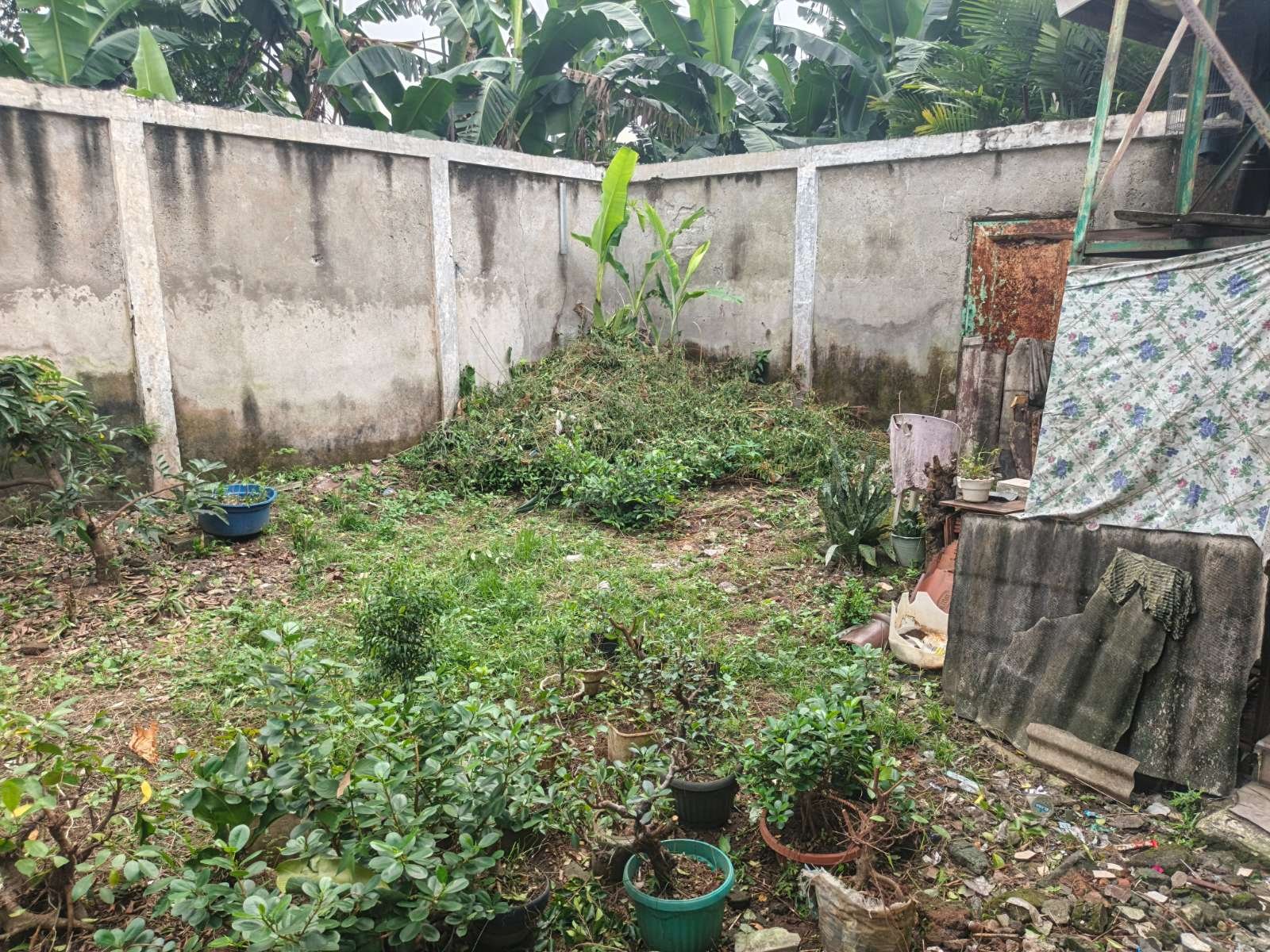 Foto Utama