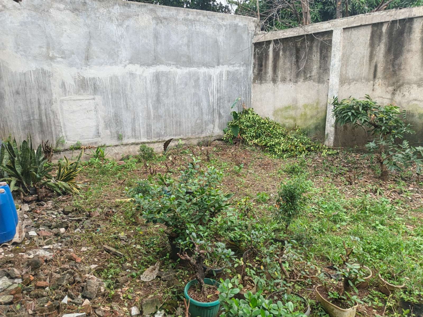 Foto Utama