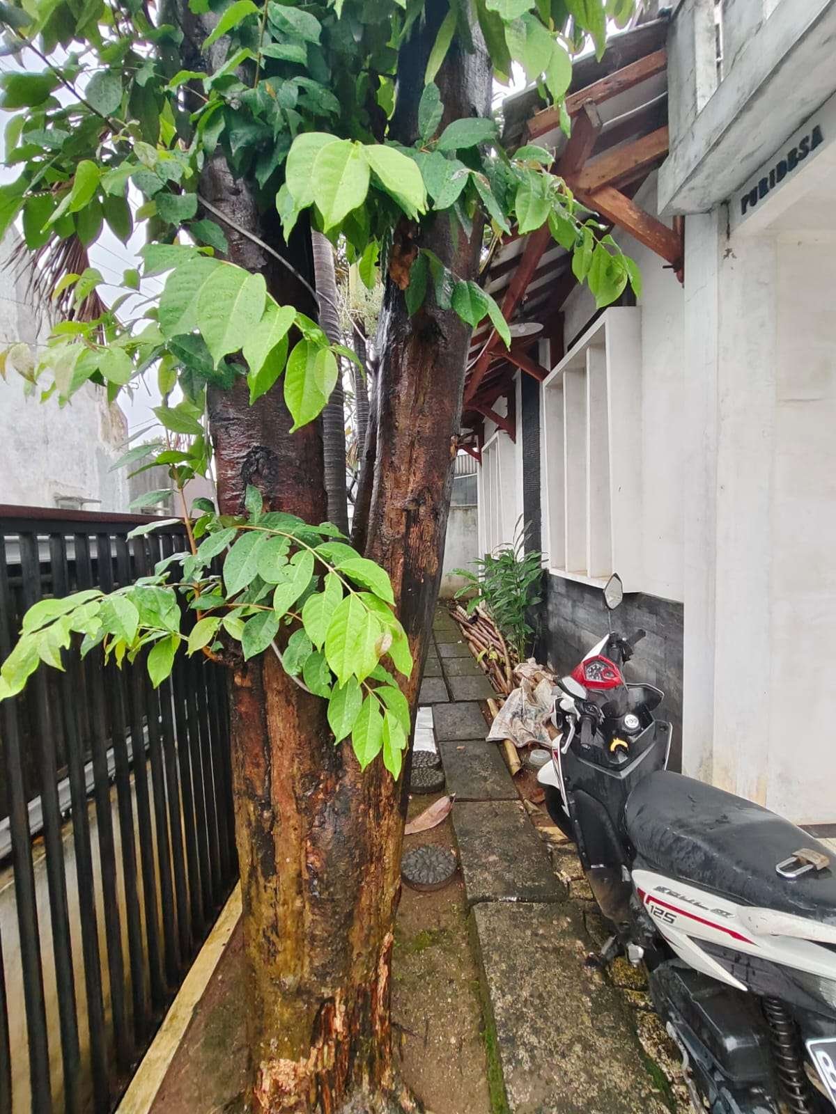 Foto Utama
