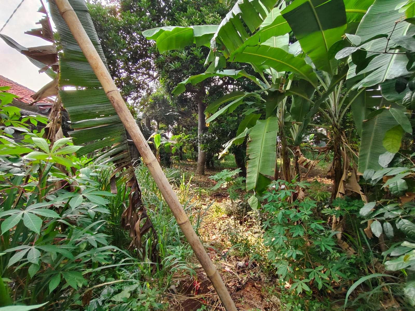 Foto Utama