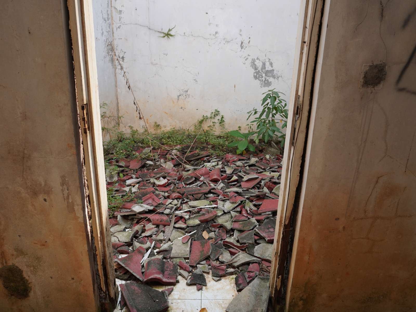 Foto Utama