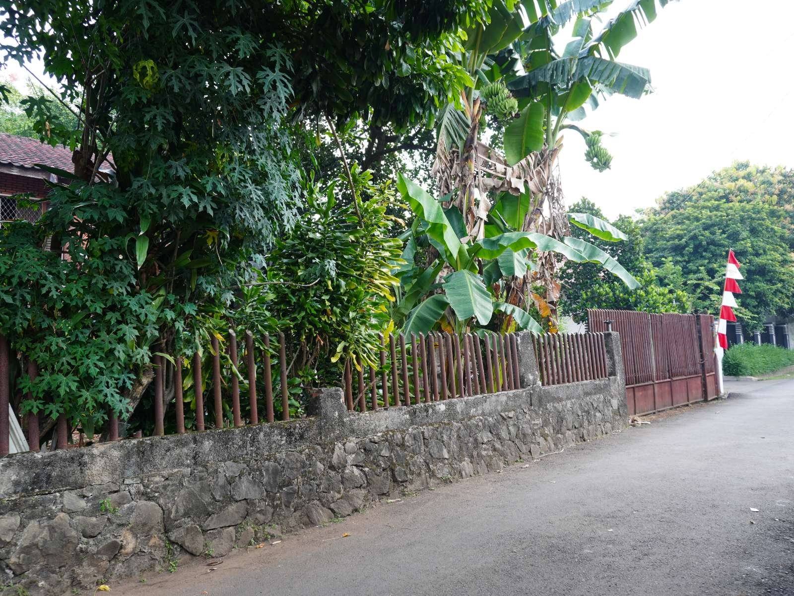 Foto Utama