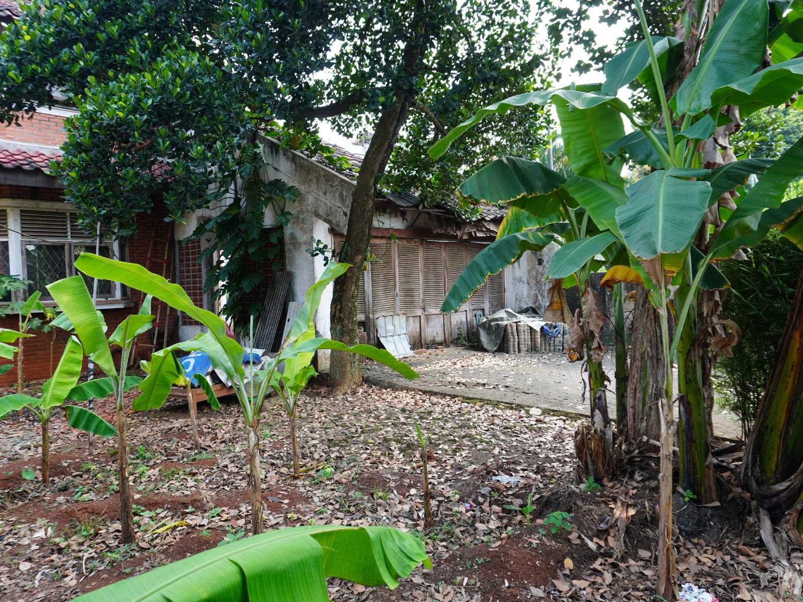 Foto Utama