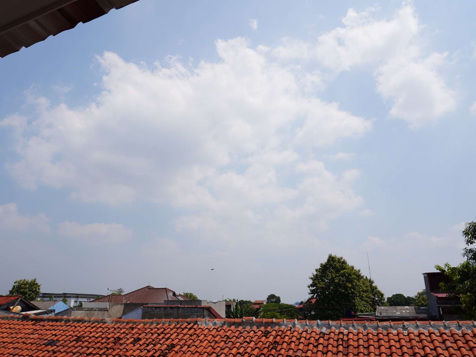 Foto Utama