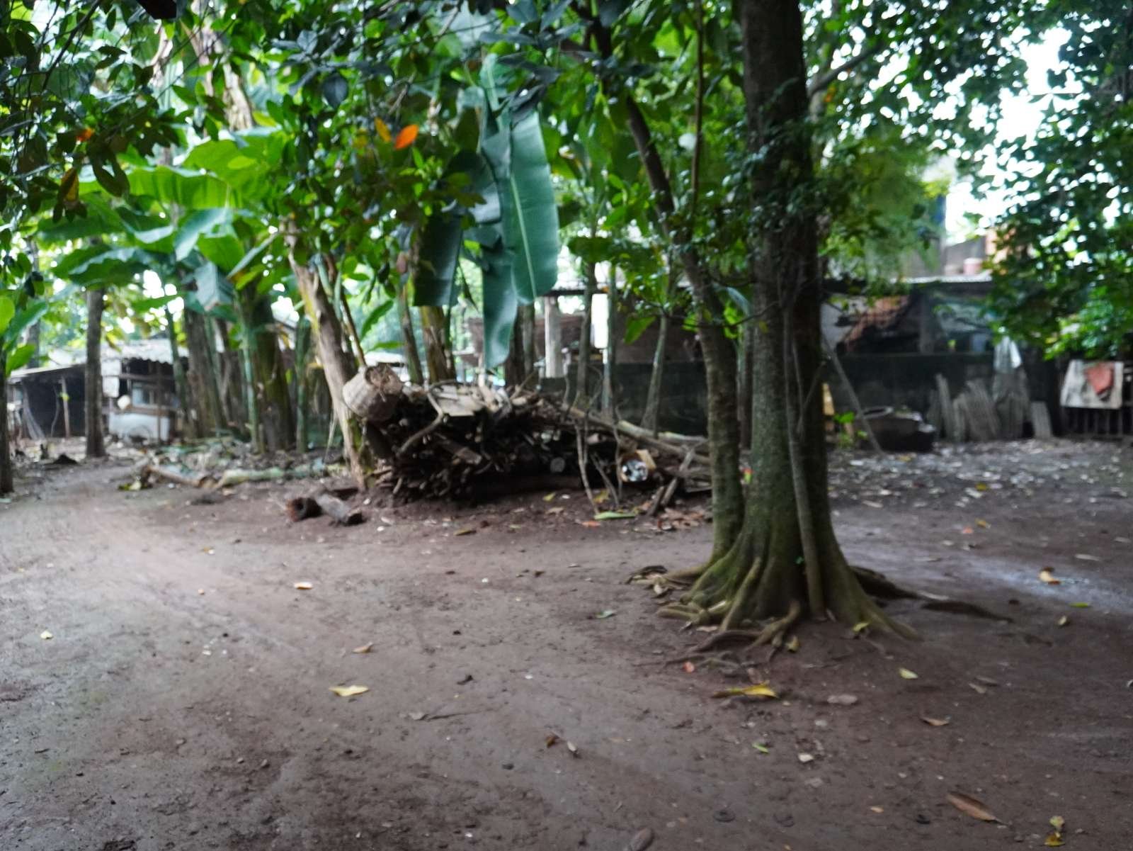 Foto Utama