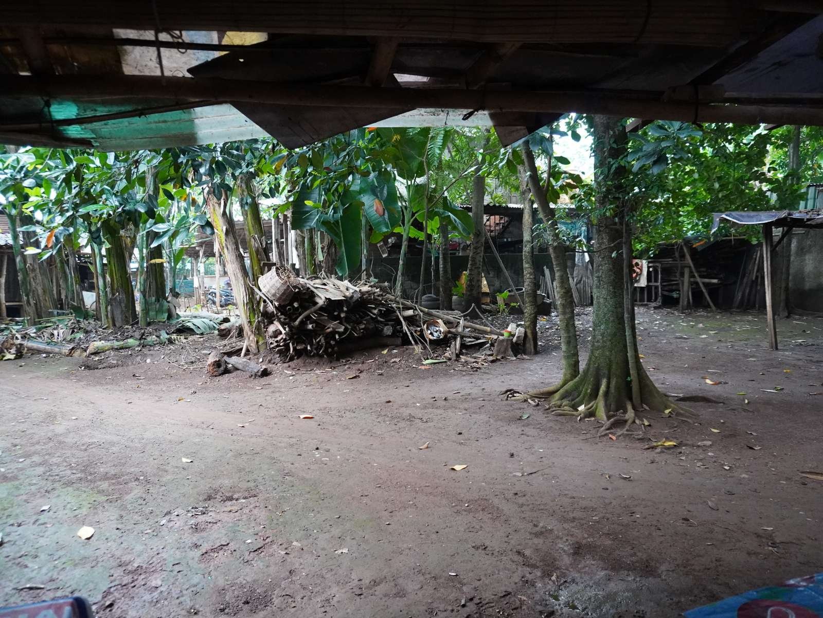 Foto Utama