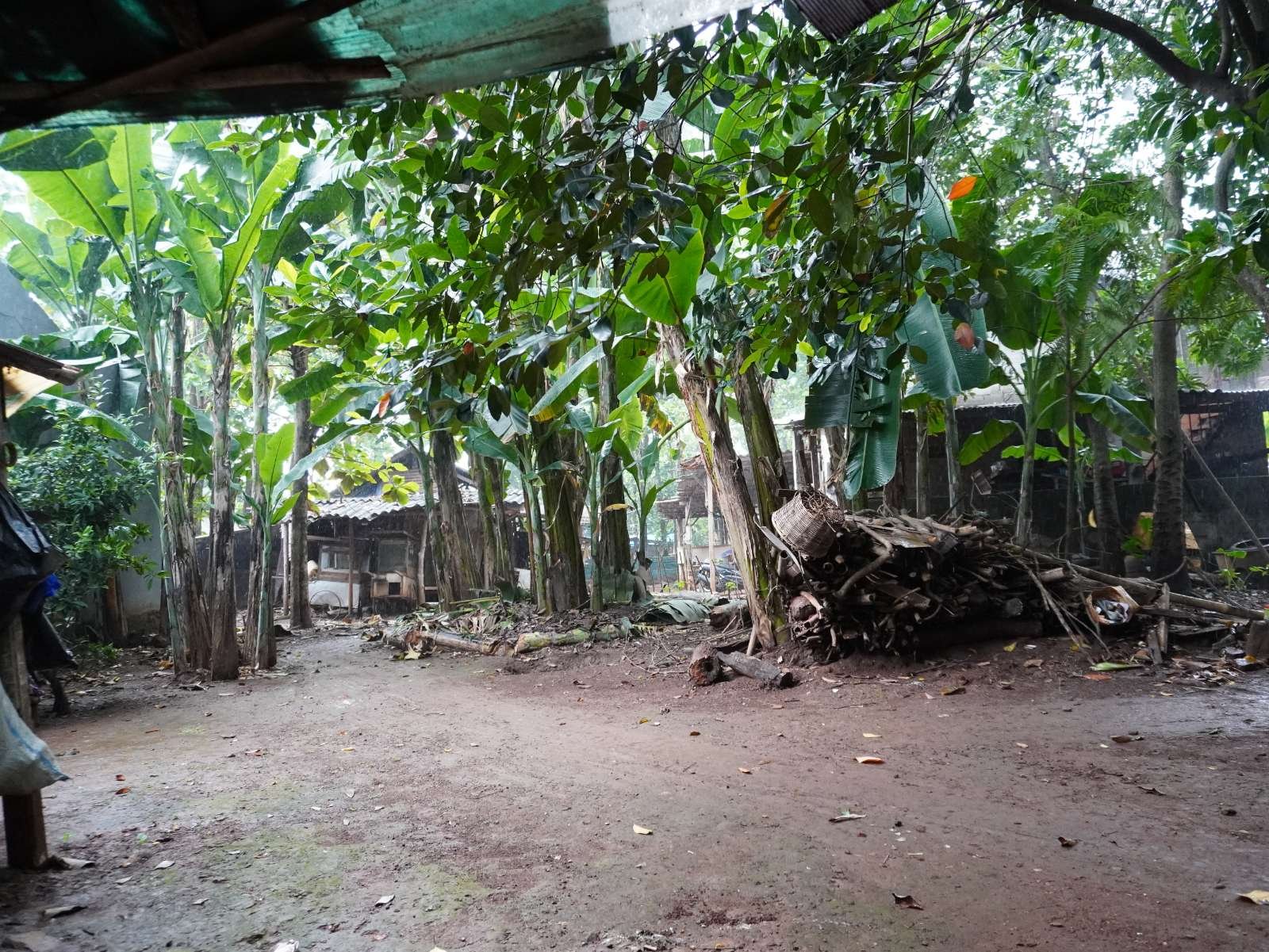 Foto Utama