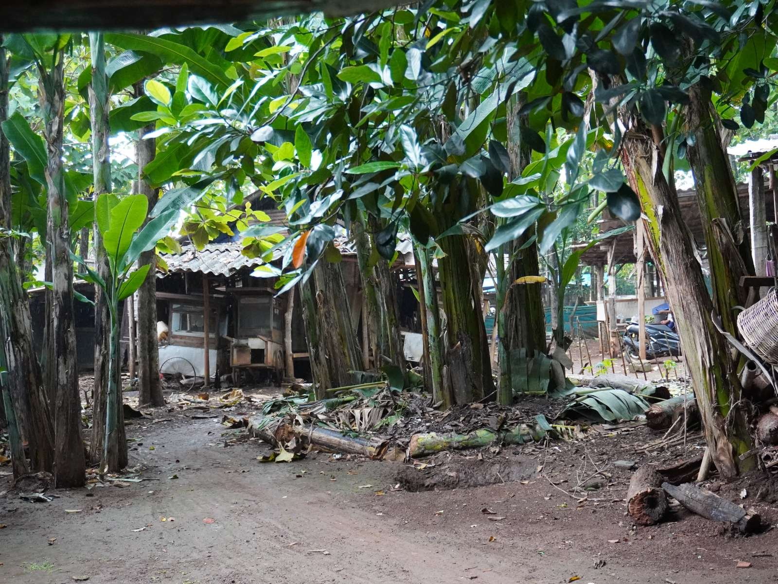 Foto Utama
