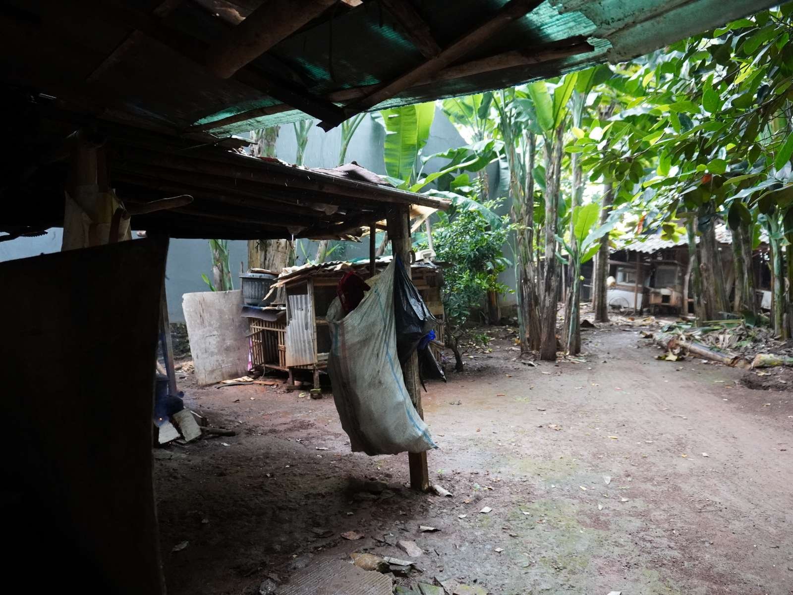 Foto Utama