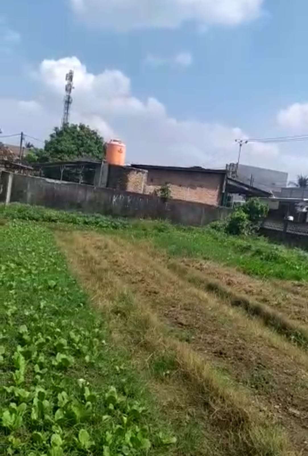 Foto Utama