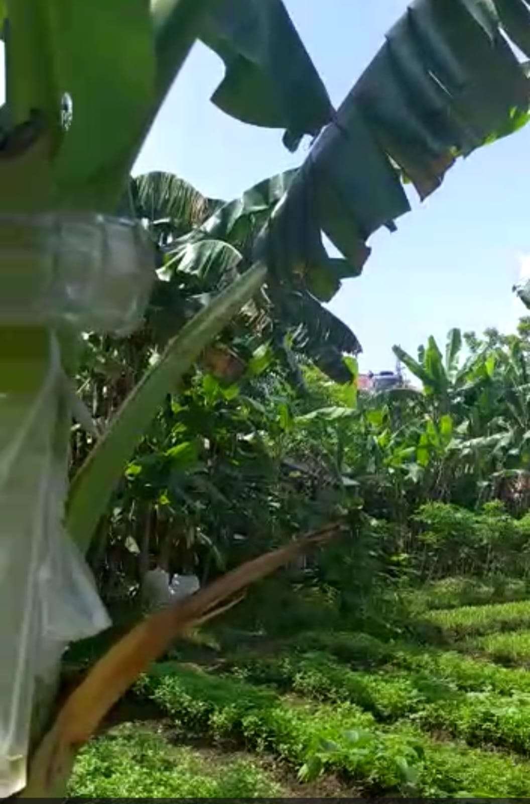 Foto Utama