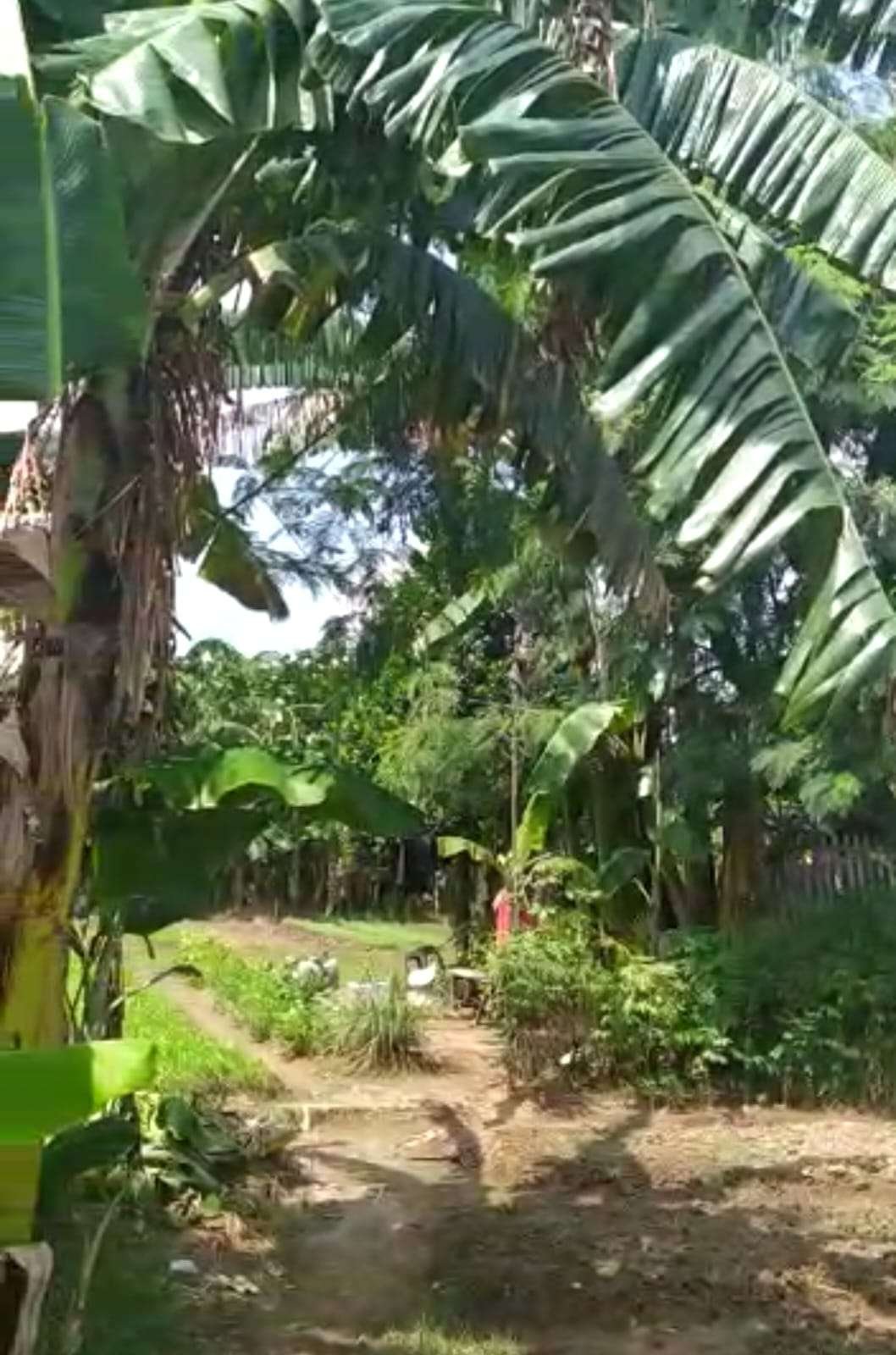 Foto Utama