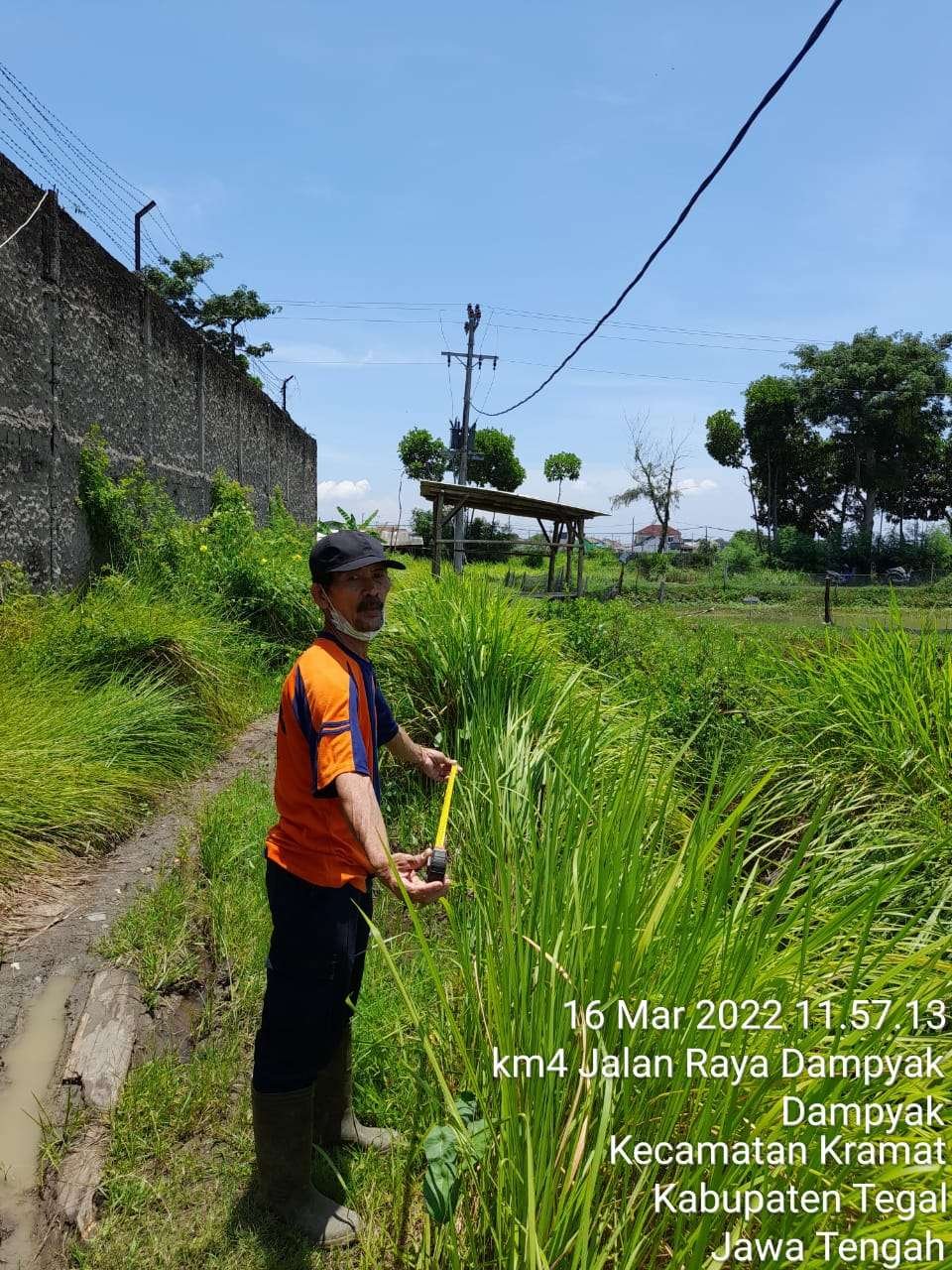 Foto Utama