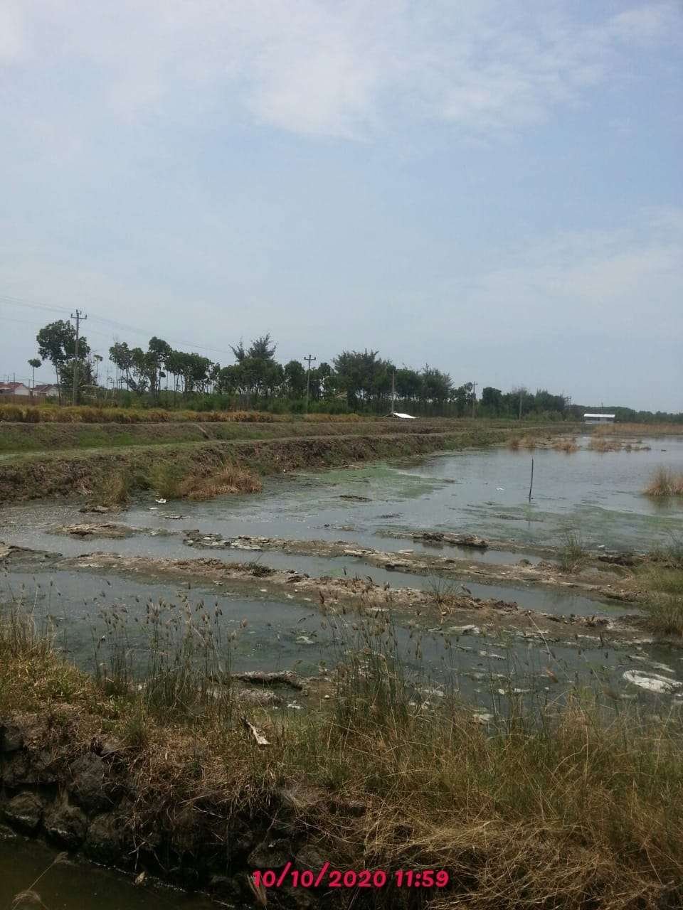 Foto Utama
